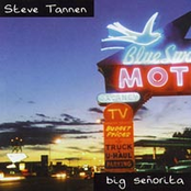 Sing Me To Sleep by Steve Tannen