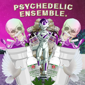 psychedelic ensemble. remixes the obnoxious, arrogant and audacious