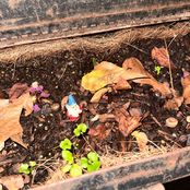 suffocate me with all your problems