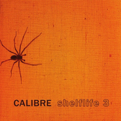 Makes Me Feel Alright by Calibre