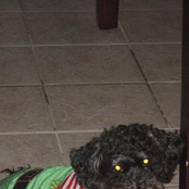 my life is shit because i deserve it