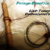 Lich tamen Dedestunnels