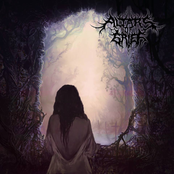 Of Ash and Dying Light (Split)