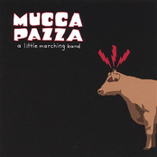 Carousel by Mucca Pazza