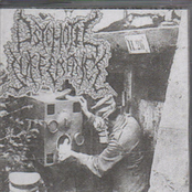 shitfaced / psychotic sufferance