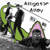 Alligator Alley