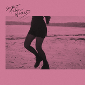 Secret Music World