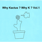 Why Kactus ? Why K ? Vol.1