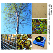 How I Invented Sound and Redesigned the Human Ear