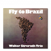 On 4 Goes It Loose Blues by Walter Strerath Trio