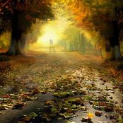 Aromas of the French romanticism