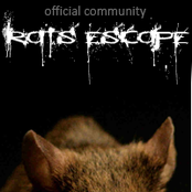 Rats Escape