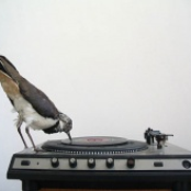 After The Needle Breaks (Demos)