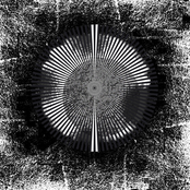 Maxed Out on Distractions (LP)