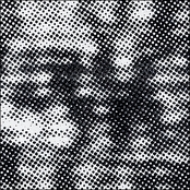 Chapter 7 (feat. Heinrich Köbberling & Laurel Halo)