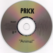 Animal - Single
