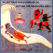 Electric Psychedelic Sitar Headswirlers - Volume 9