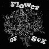 Flower of Sex