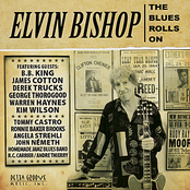 Black Gal by Elvin Bishop