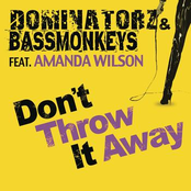 Don't Throw It Away (feat. Amanda Wilson)
