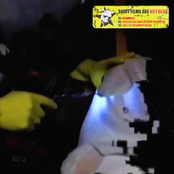 SNUFF FILMS ARE NOT REAL