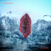 Taken By Tides: Back To Hell