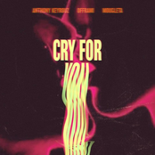 Cry For You