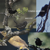 ʻŌʻŌ MODIFIED DEATH