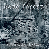 Majesty Of The Approaching Forest by Hate Forest