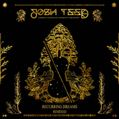 Josh Teed: Recurring Dreams (Remixed)