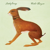 Turning Backs by Vashti Bunyan