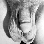 Unkle Funkle: Picture of my Dick