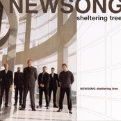 Newsong: Sheltering Tree