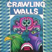 crawling walls