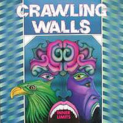 Crawling Walls