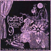 Fading Yellow Vol 9
