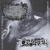 Pathologically Explict Goregrind Two-Some