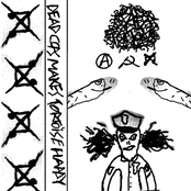 Dead Cops Makes Tortoise Happy