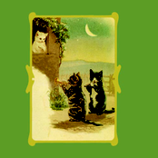 L'affannoso respiro del gatto