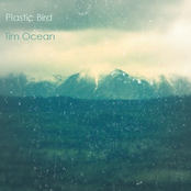 plastic bird & tim ocean