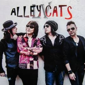 Alley Cats LV - EP