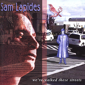 The Longest Gaze by Sam Lapides
