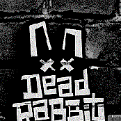 dead rabbit