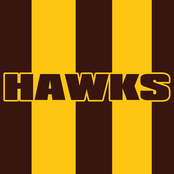 Hawthorn Hawks Football Club