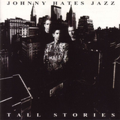 Shelter From The Storm by Johnny Hates Jazz