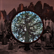 Pastor of Oaks, Shepherd of Stones