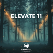 Elevate 11