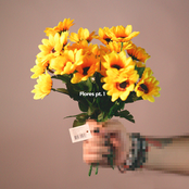 Flores pt. 1