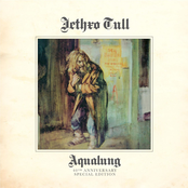 20 years of jethro tull