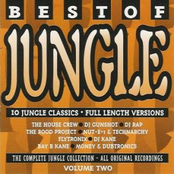 BEST OF JUNGLE VOLUME 2